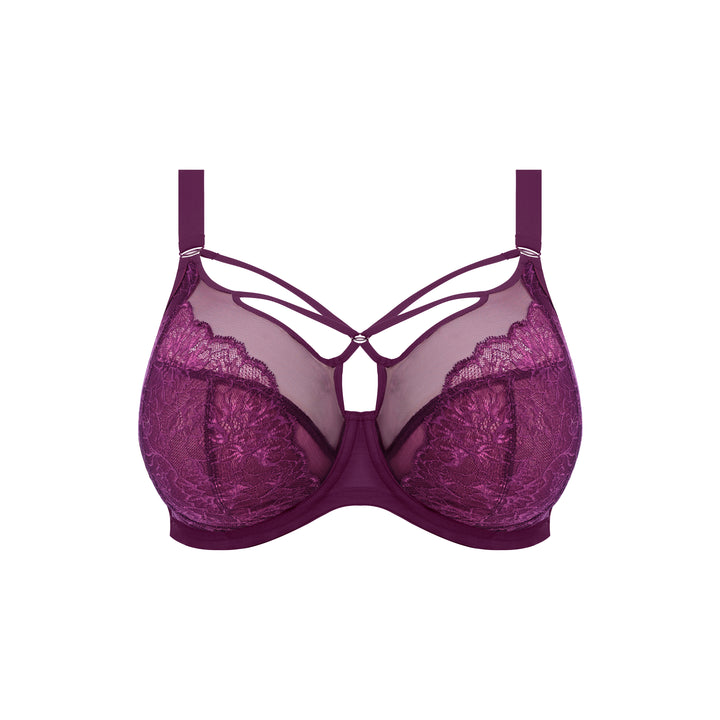 Elomi Brianna Plunge Bra - Blackberry