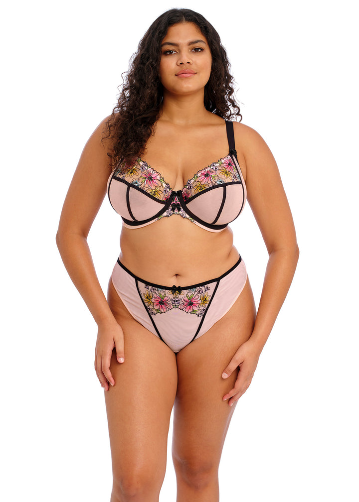 Elomi Carrie Thong - Size Small