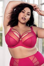Sachi Underwire Plunge Bra - Red - Size J 32
