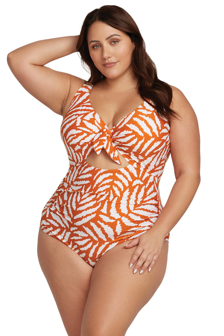Alabastron Cezanne D / DD Cup Underwire One-Piece Swimsuit - Size 16