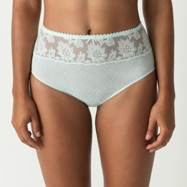 Allegra Full Brief - Size Large