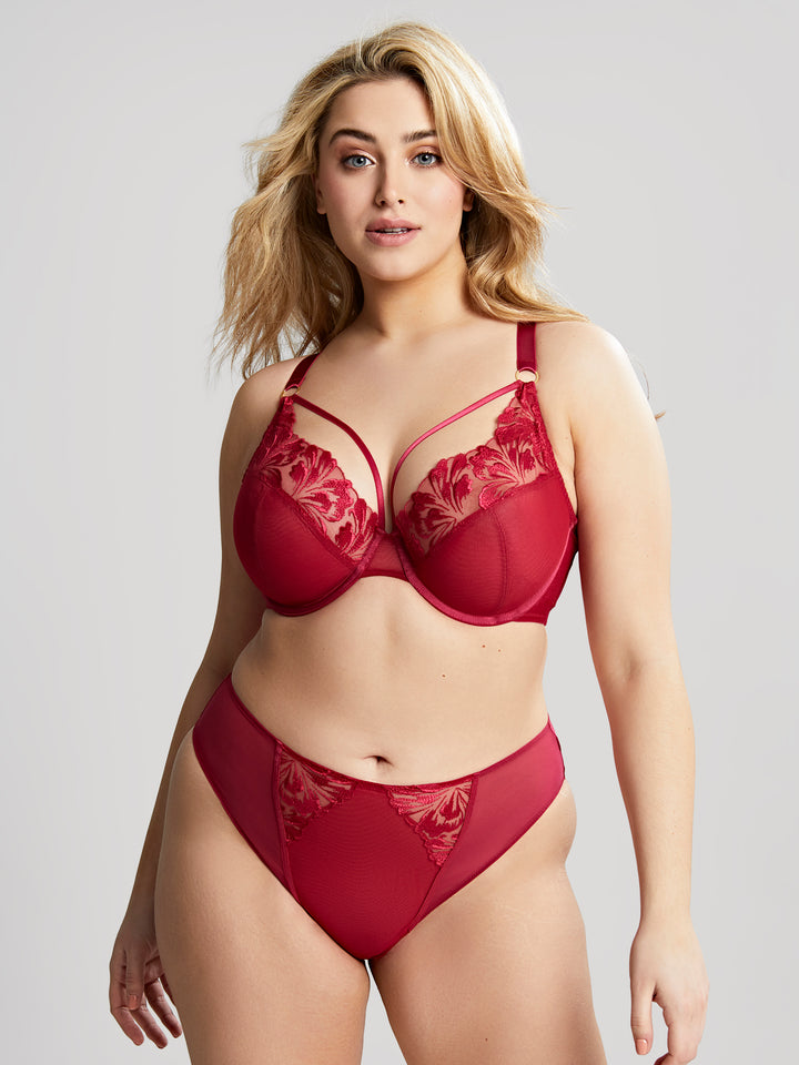 Jaida Plunge Underwire Bra