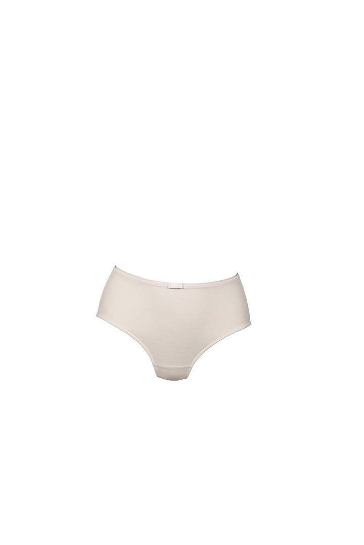 Emily High-Waist Brief