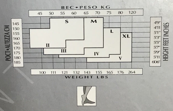 City Line Fishnet Stay Up’s
