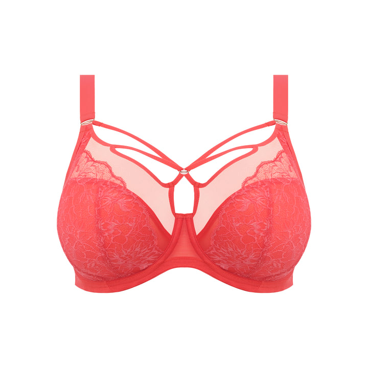 Elomi Brianna Plunge Bra - Cayenne