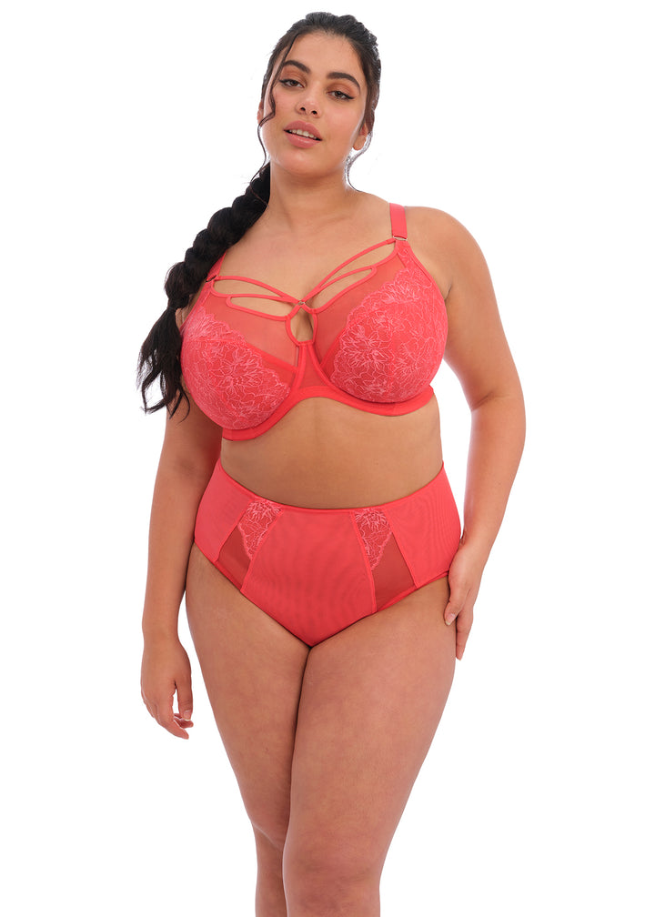 Elomi Brianna Plunge Bra - Cayenne