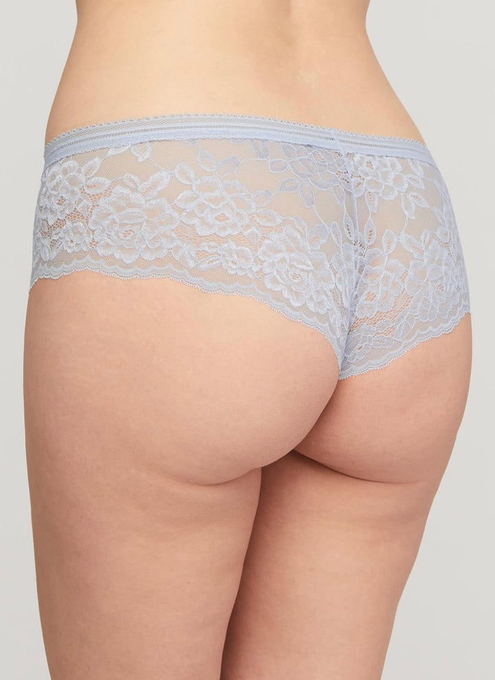 Wanderlust Brazilian Panty