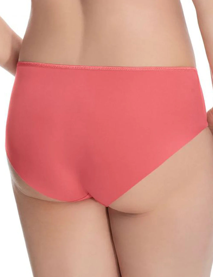 Virginia Laser Cut Seamless Brief - Size 2 X