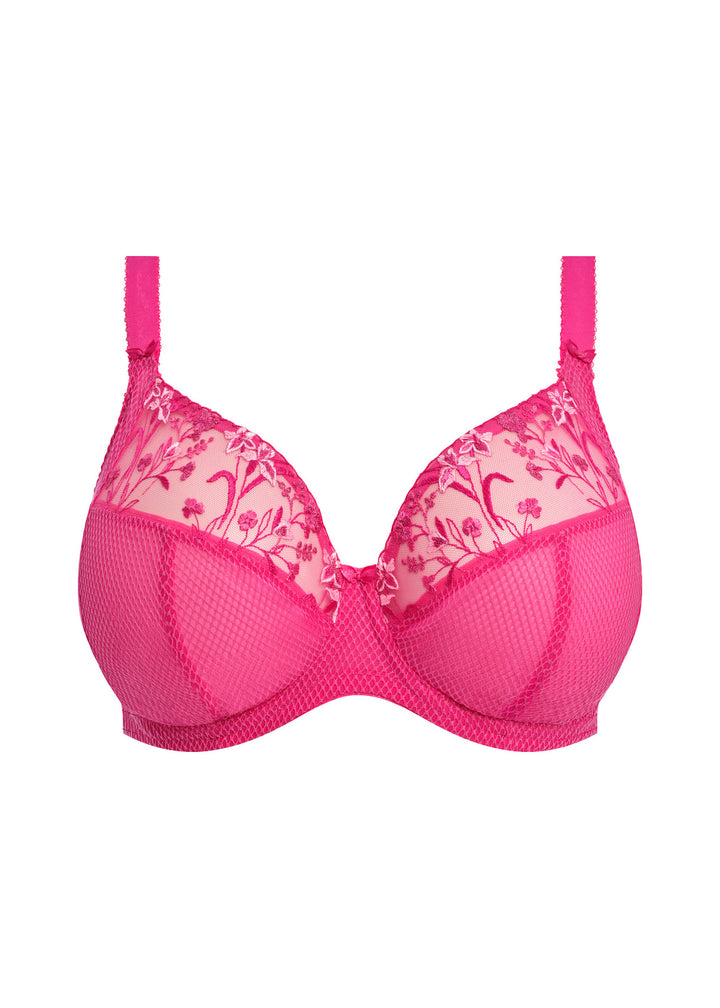 Elomi Charley Plunge Bra - Pink
