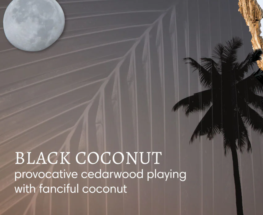 Black Coconut | Body Cream