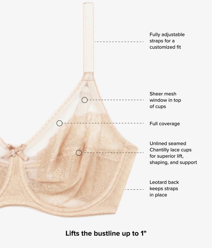 Retro Chic Full Figure Underwire Bra