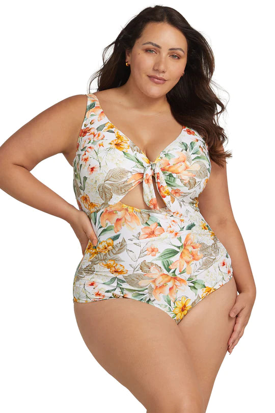 La Dolce Vita Cezanne D DD Cup Underwire One Piece Swimsuit Sheer Essentials Lingerie Swimwear