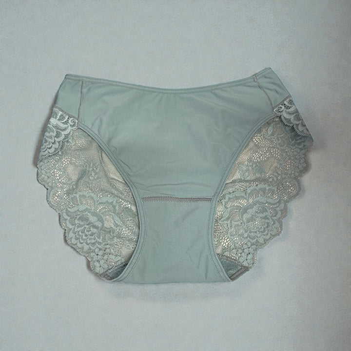 Janira Greta Brislip Brief - Size Medium