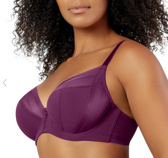 Shea Mesh Unlined Underwire Plunge Bra - Blackberry