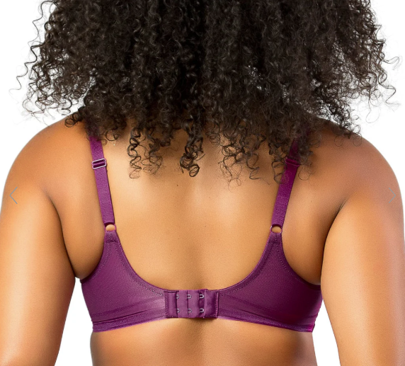 Shea Mesh Unlined Underwire Plunge Bra - Blackberry