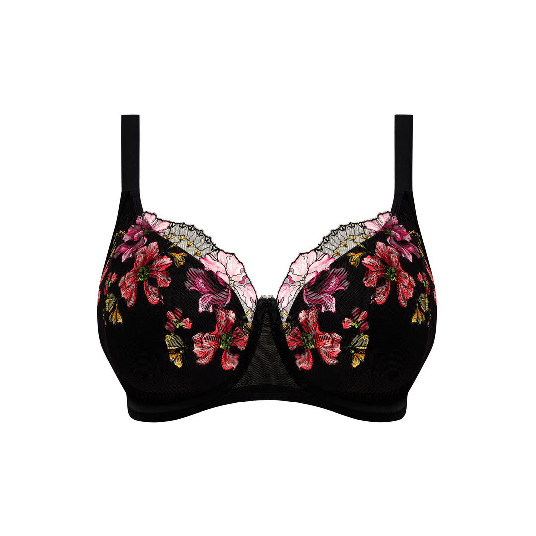 Elomi Teagan Underwire Padded Half Cup - Rainbow - Sheer Essentials Lingerie & Swimwear