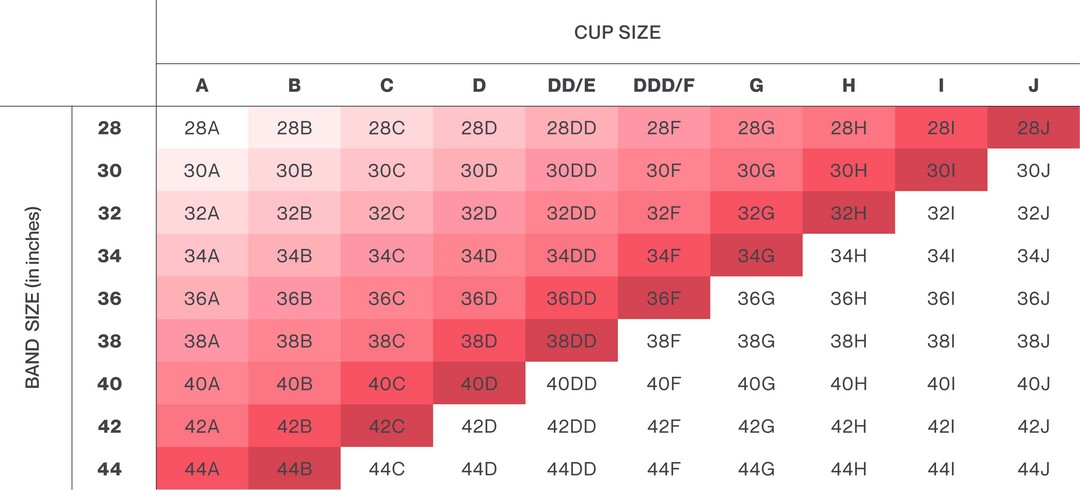 Montelle Sublime Spacer Bra - Cambridge Blue
