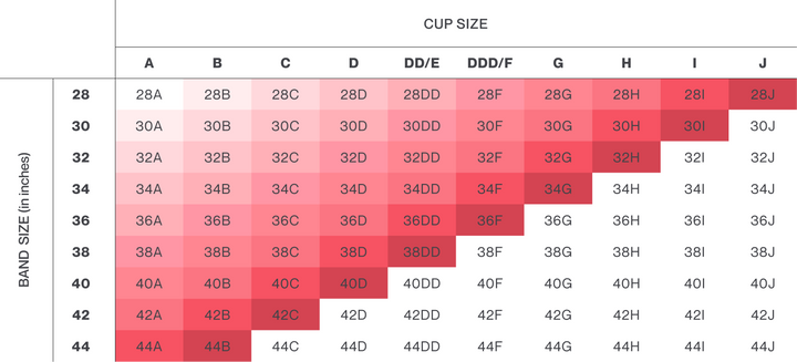 Montelle Sublime Spacer Bra - Cambridge Blue