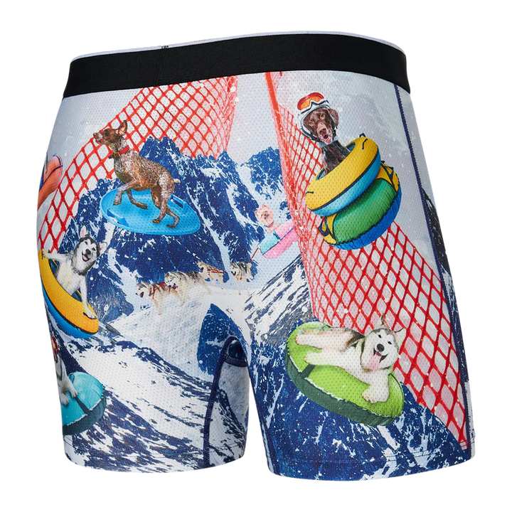 🇨🇦 Saxx Volt Boxer Brief - Sled Dogz