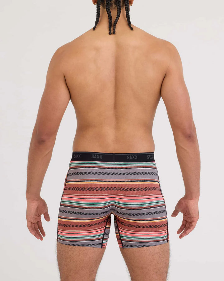 Saxx Quest Quick-Dry Mesh - Globetrekker Stripe