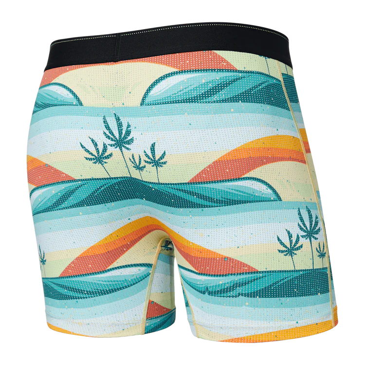 Saxx Quest Boxer Brief - Erik Abel-Coast