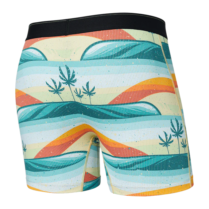 Saxx Quest Boxer Brief - Erik Abel-Coast