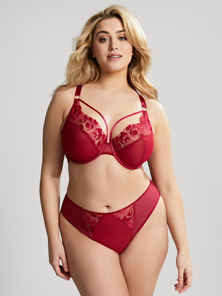 Jaida Plunge Underwire Bra