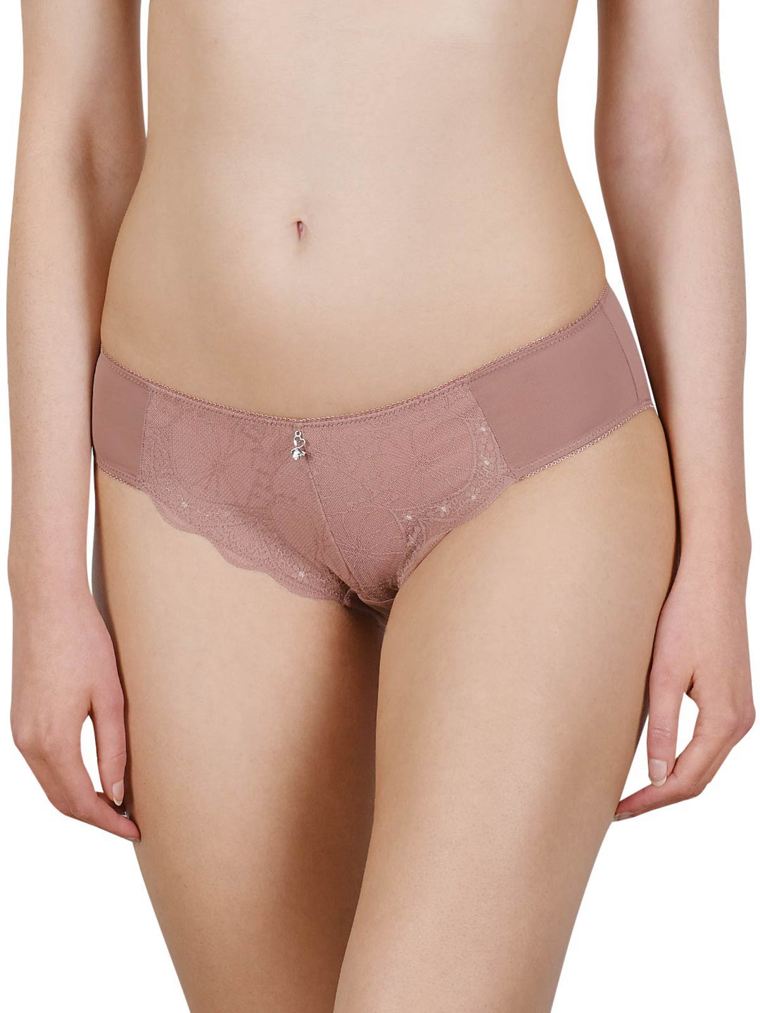 Cybele Lace Brief - Size X-Large