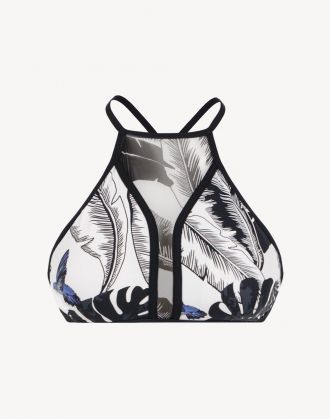 Palm Beach Tank