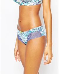 Castaspell Brazillian Brief