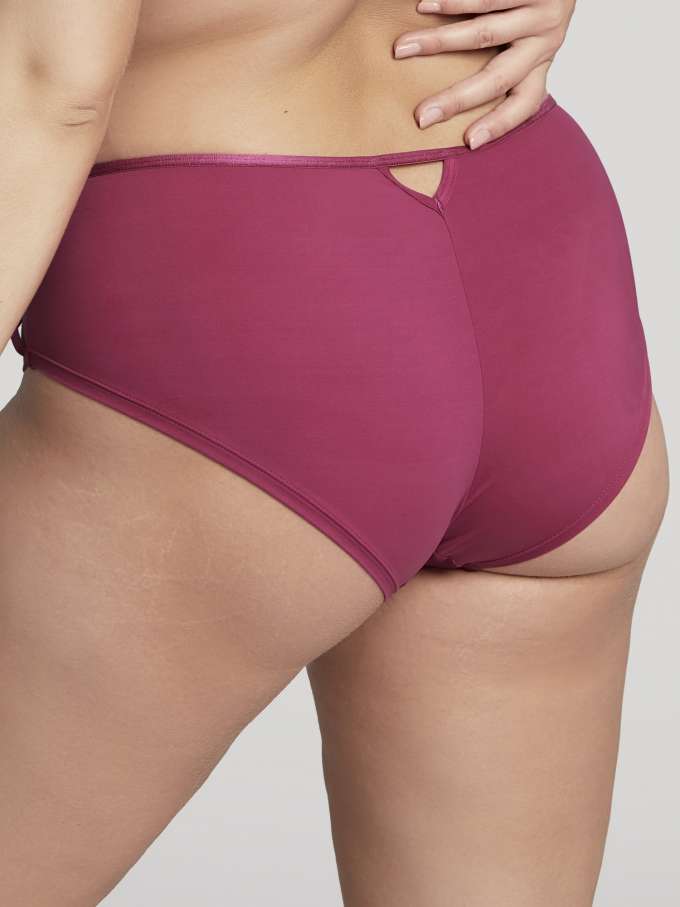 Sculptresse Dionne Midi Brief