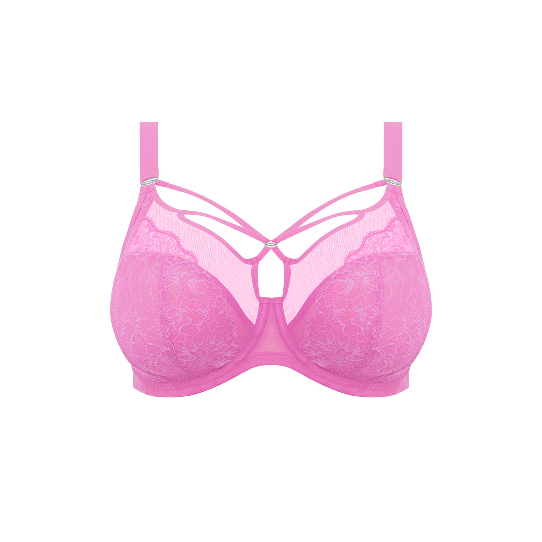 Elomi Brianna Plunge Bra - Very Pink – Sheer Essentials Lingerie