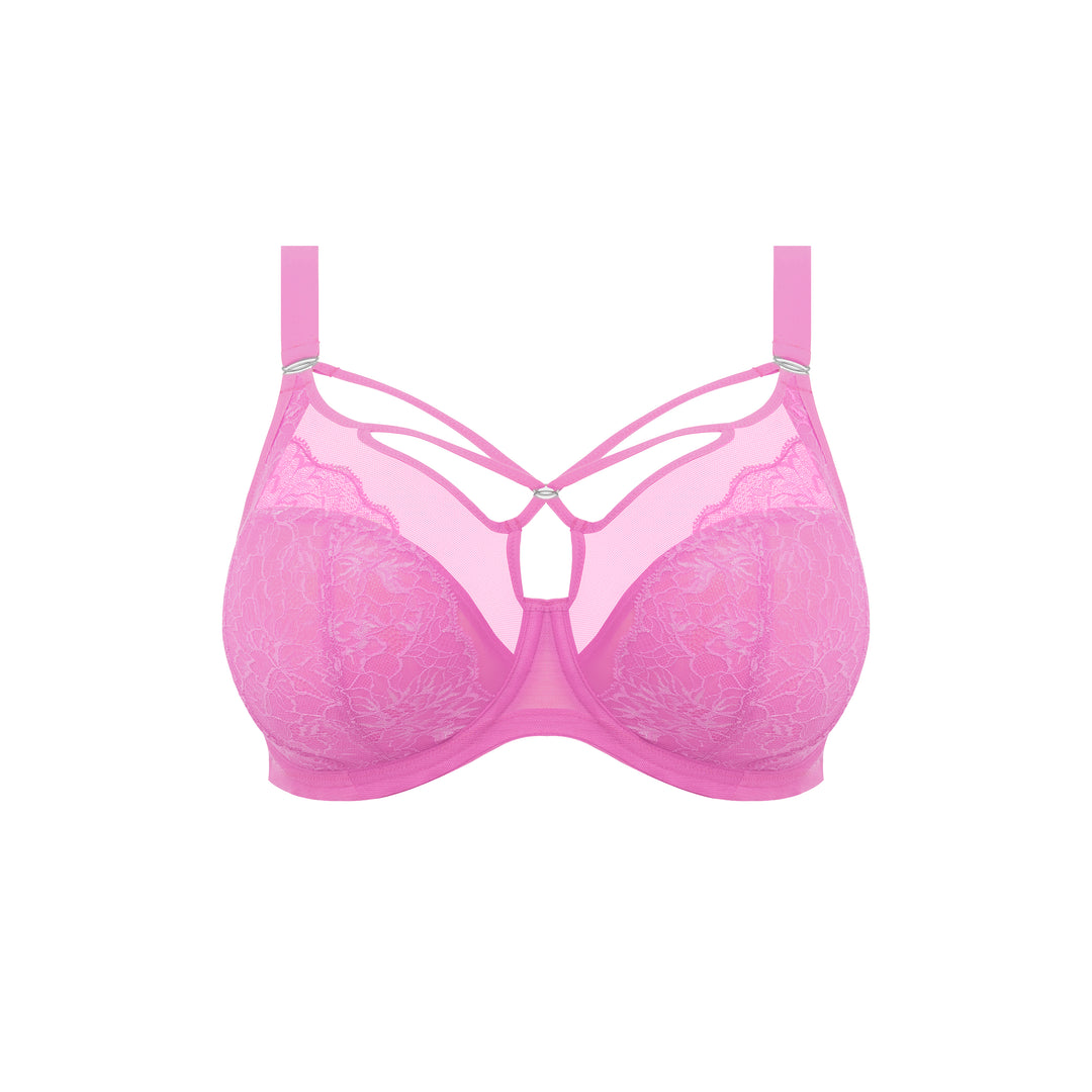 Elomi Brianna Plunge Bra -  Very Pink