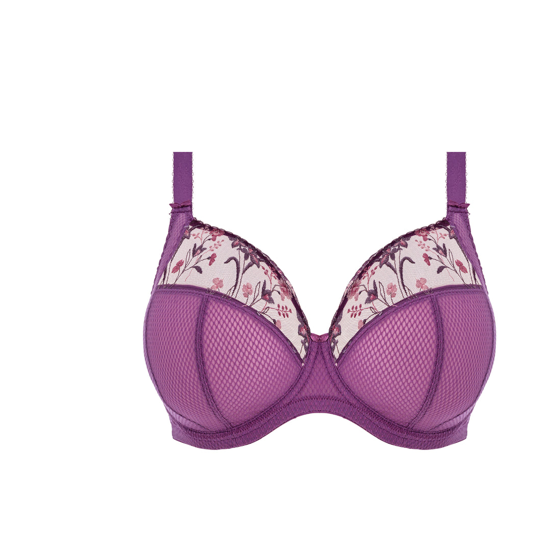 Elomi Charley Plunge Bra - Pansy