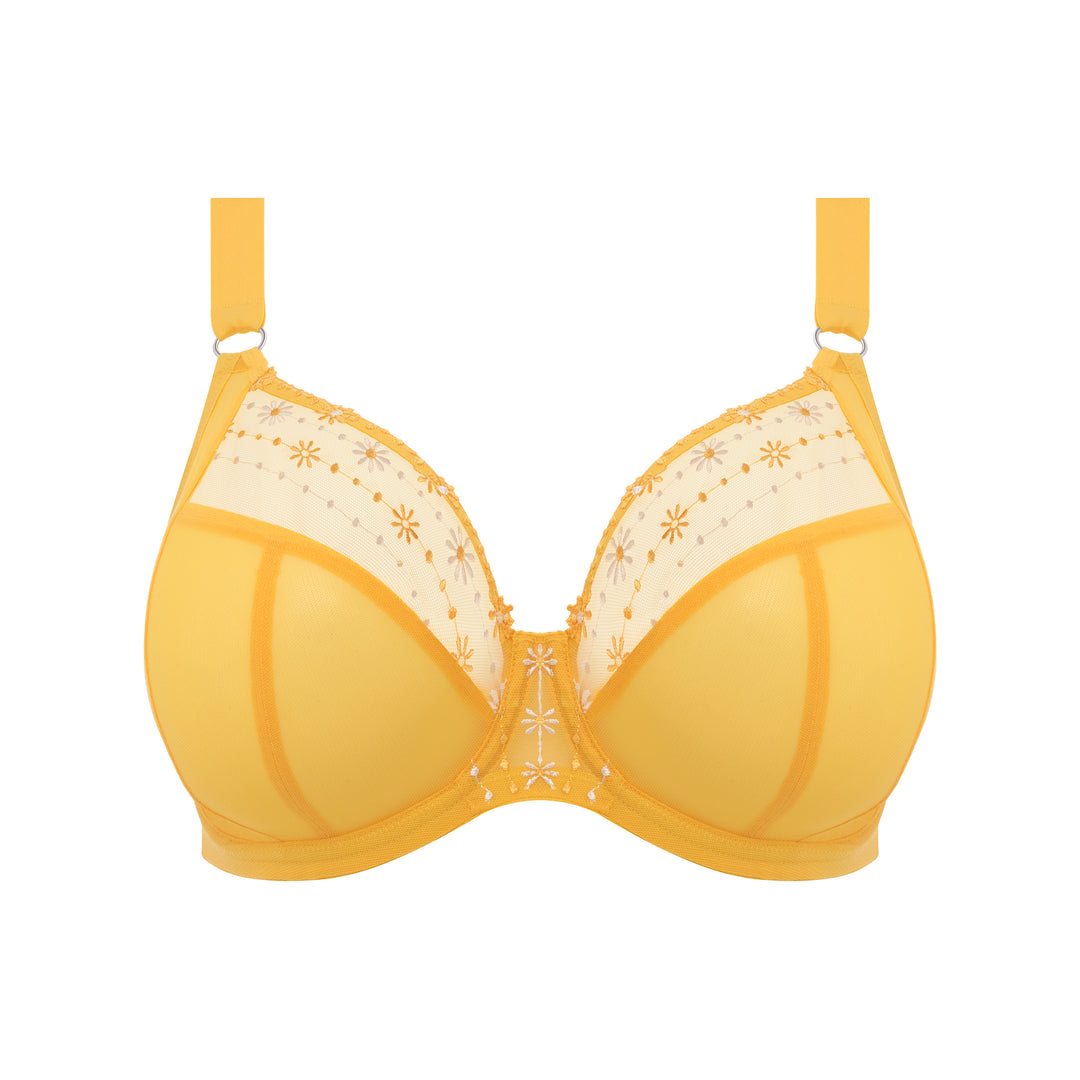 Elomi Matilda Plunge Bra - Daisy
