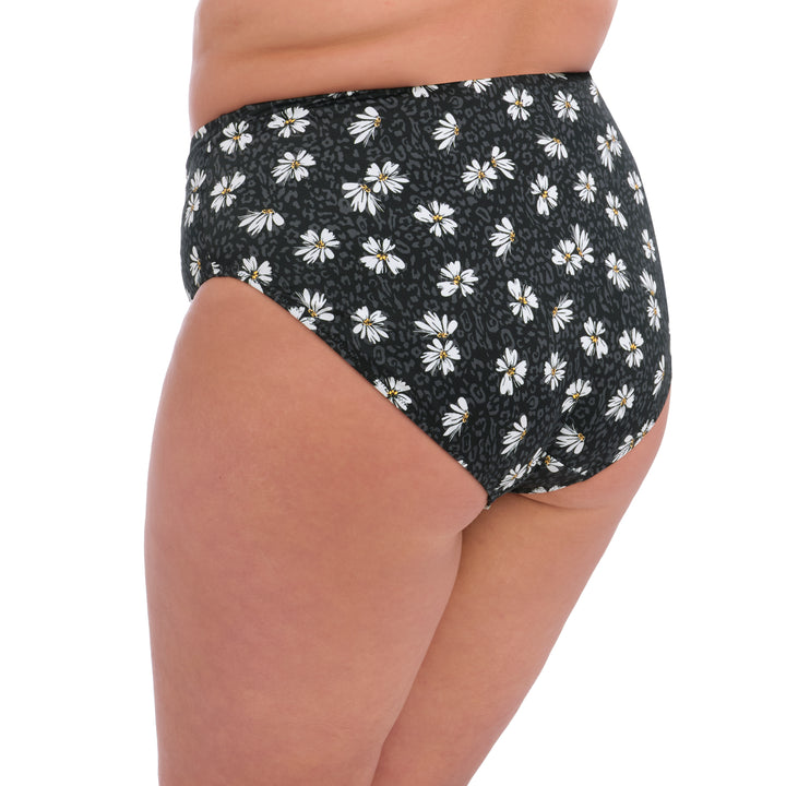 Elomi Plain Sailing Bikini Brief