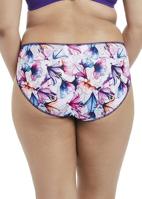 Morgan Brief - Sheer Essentials Lingerie & Swim