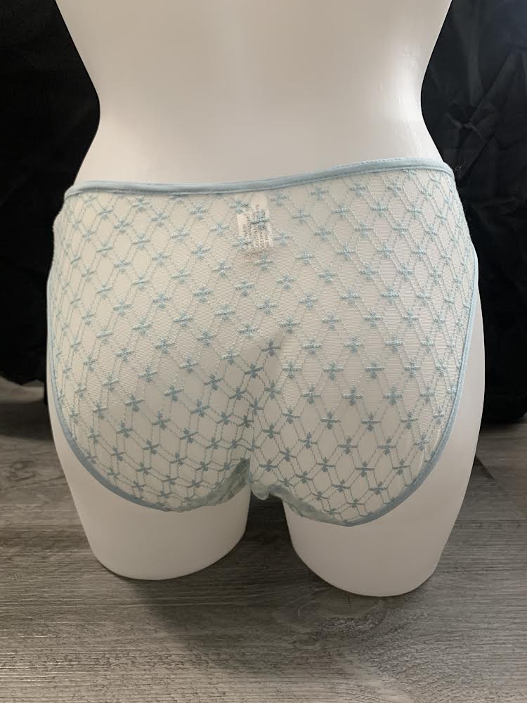 Sheer French Cut Brief