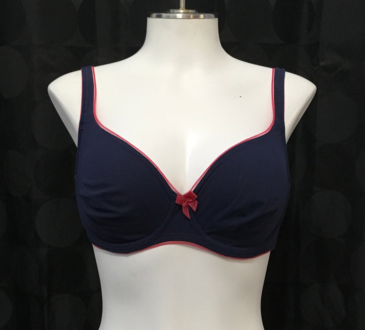 "Final Sale" Sheer Whisper Underwire Bra