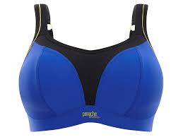 Wire Free Sports Bra - Cobalt